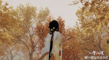 穿上新时装，赴一场趣味猫鼠游戏！别忘了带上肩上的好友！