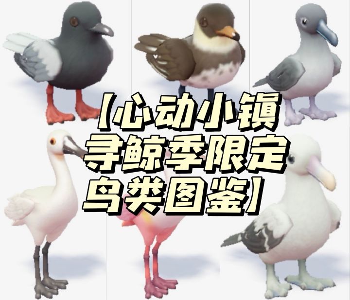 【心动小镇寻鲸季限定鸟类图鉴】截图