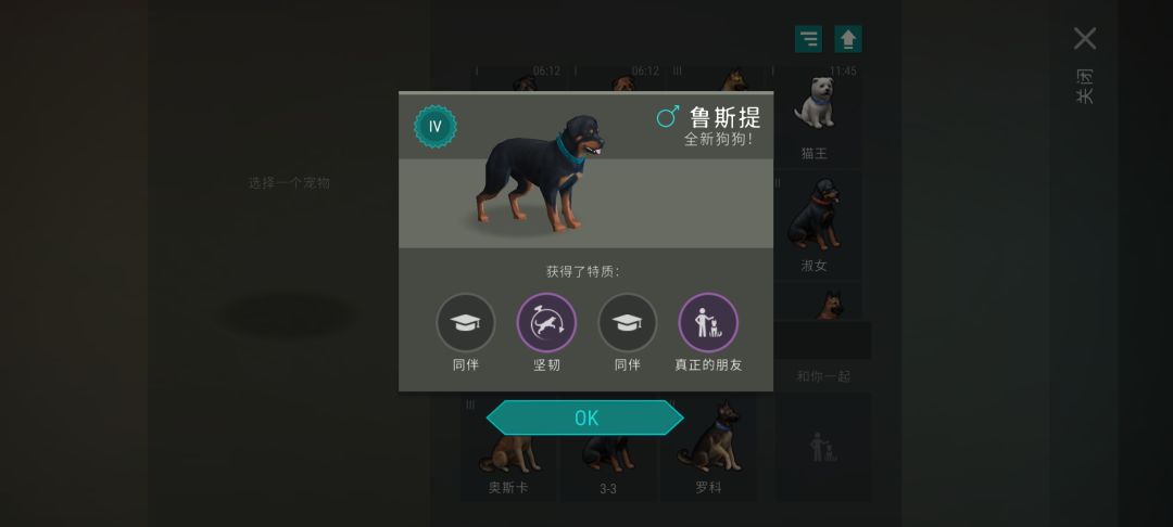 纪念一下第一条朋友狗 1