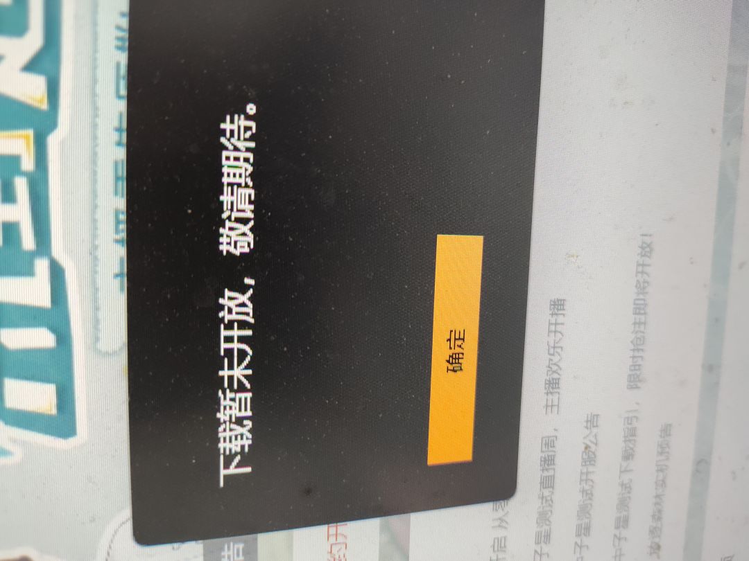 pc端到底是谁在玩,全部都显示未开放下载? 1