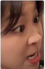 熊猫 1