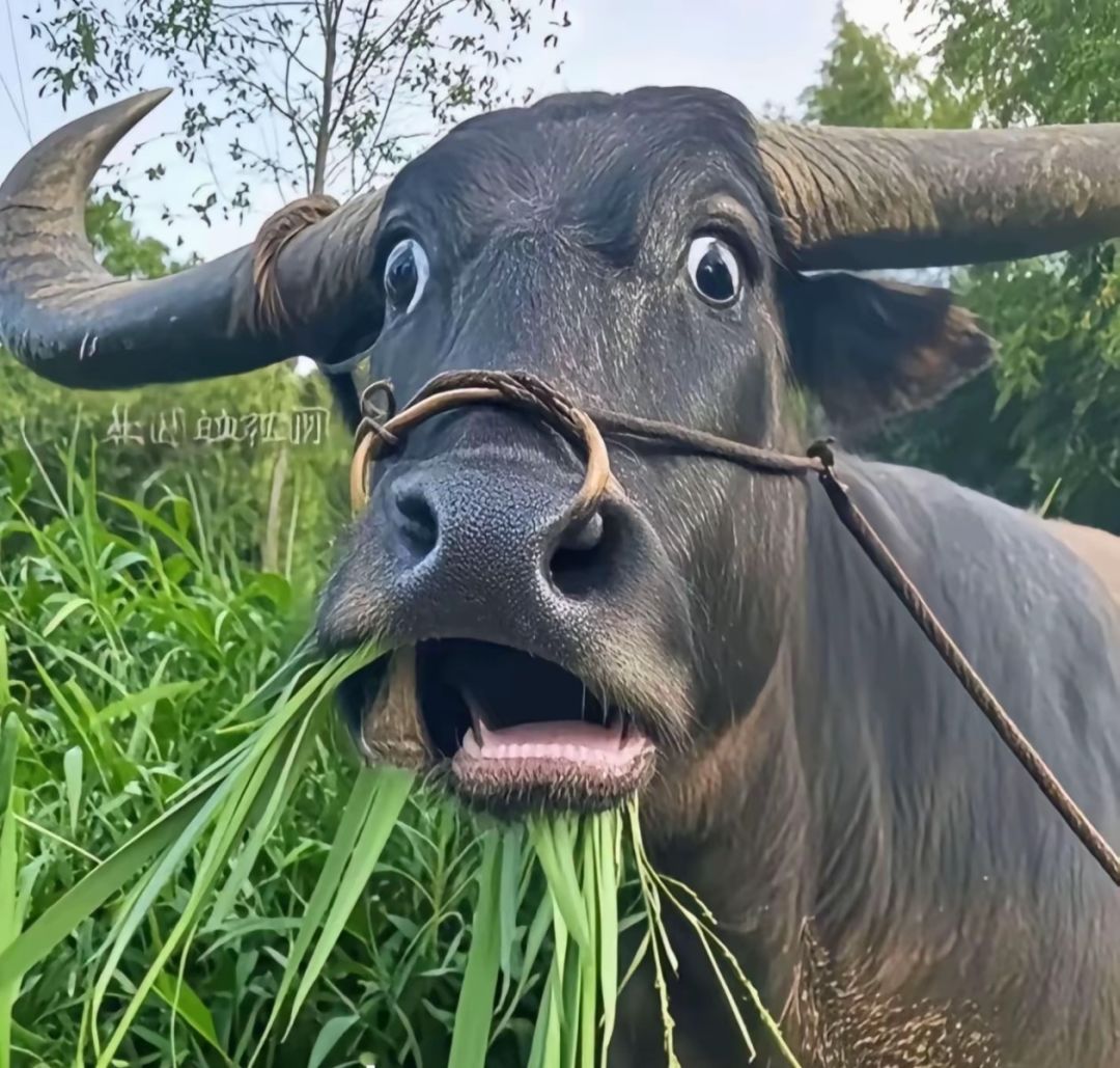 我都看不下去了?真恶心啊! 1