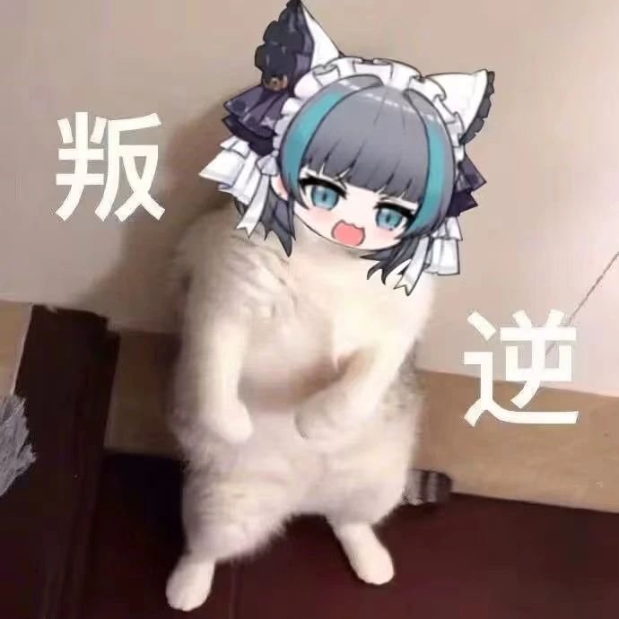 🌟柴郡猫猫(碧蓝航线)表情包分享第二期🌟 2