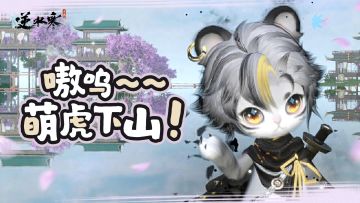 全新虎型福宝宝下山！宠物穿配饰、上主页、乞讨也都来了