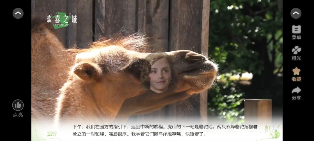 欢喜之城7截图