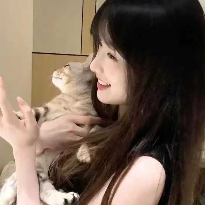怎么到3轮都不玩悟性了 1