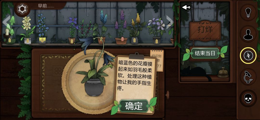 记录一些个人比较喜欢或觉得有意思的植物 6