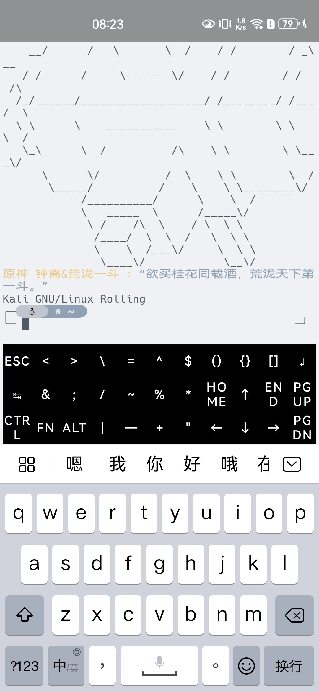我嘞个termux 2