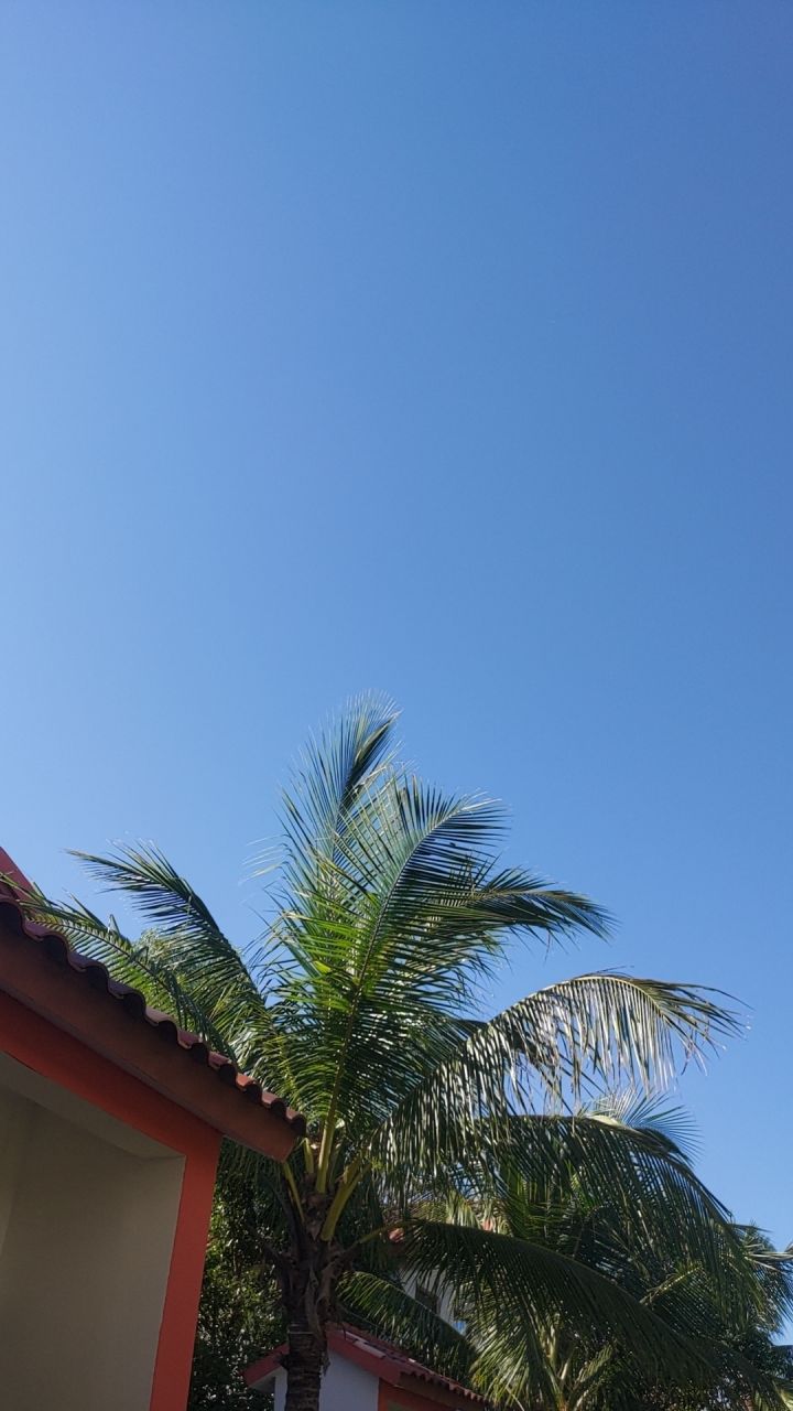 #许愿云玩黑神话悟空 1小时怎么够啊，多来点啊截图