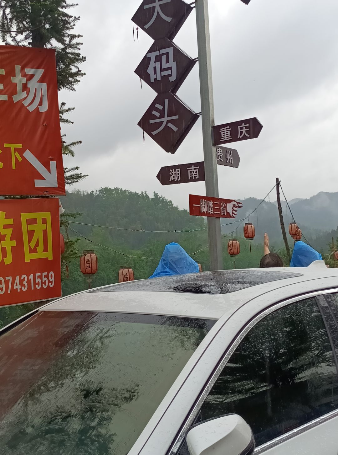 动态图片 18