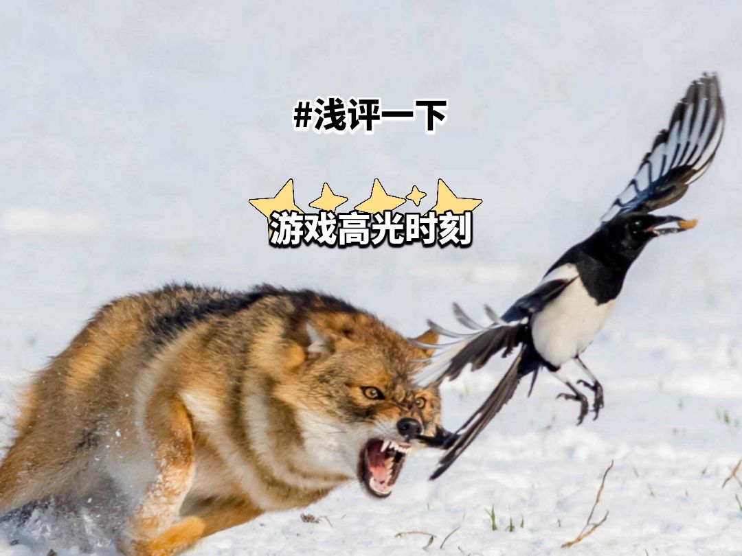 老玩家现在出红已经没有初遇的欢喜截图