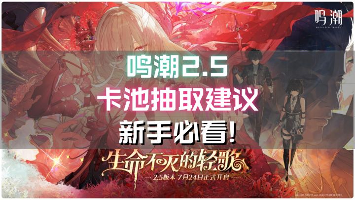鸣潮2.5版本卡池抽取建议,新手必看!截图