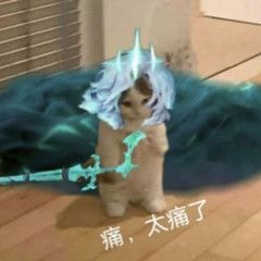 动态图片 3