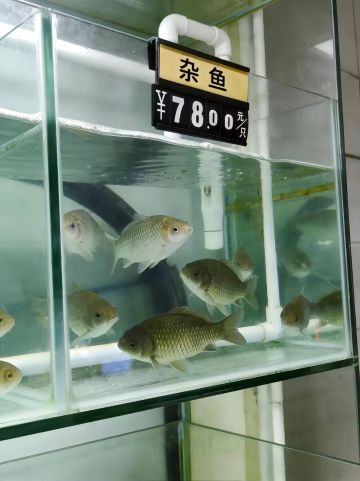 国服各职业定点短轴竞速汇总，部分有备注