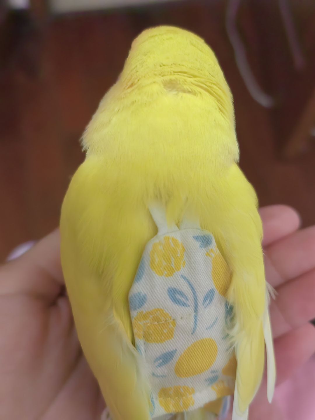 非常整齐啊 2