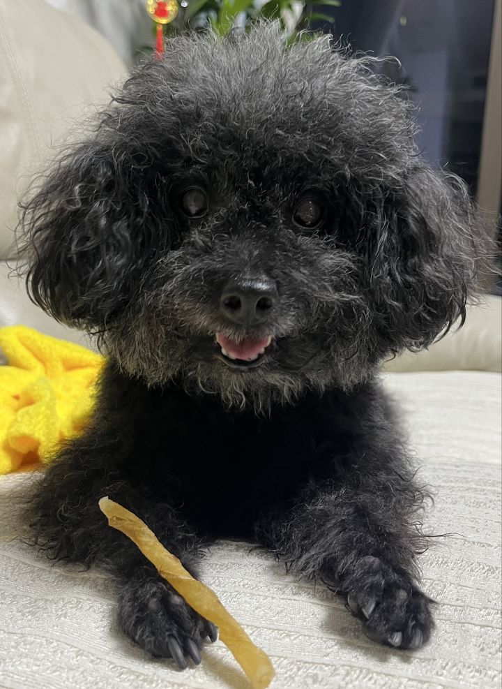 感觉还挺可爱的😊截图