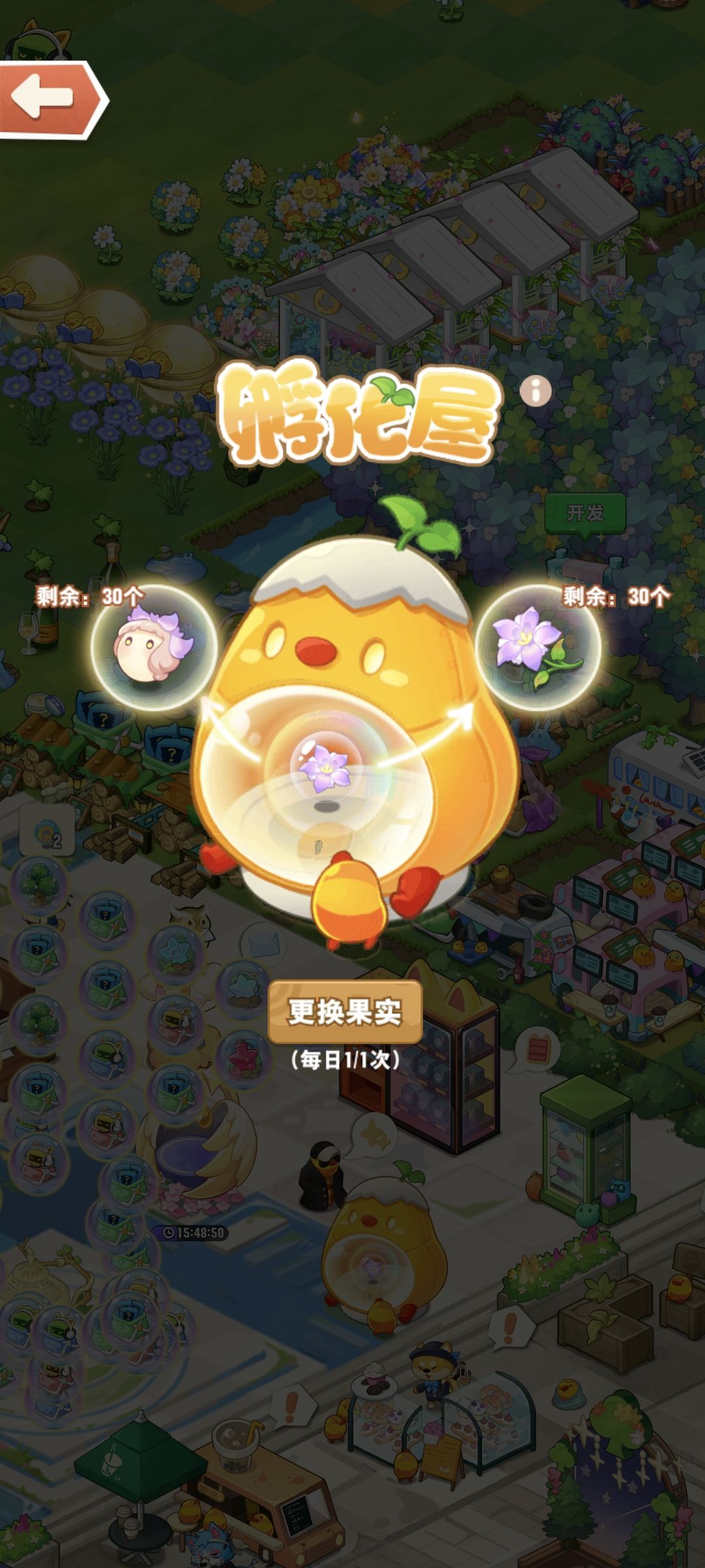 红花,加好友 1