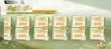 草原夏训营简评