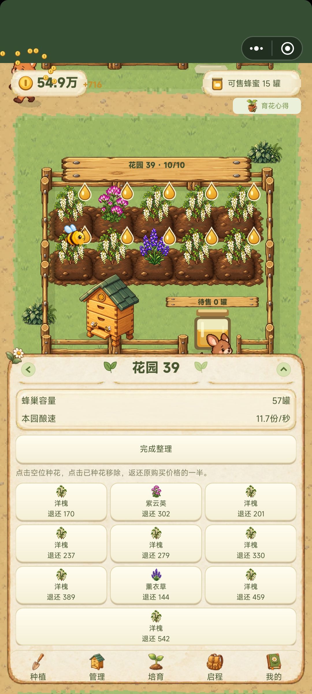 如何用花摆出图案，同花园如何种植不同花朵 3
