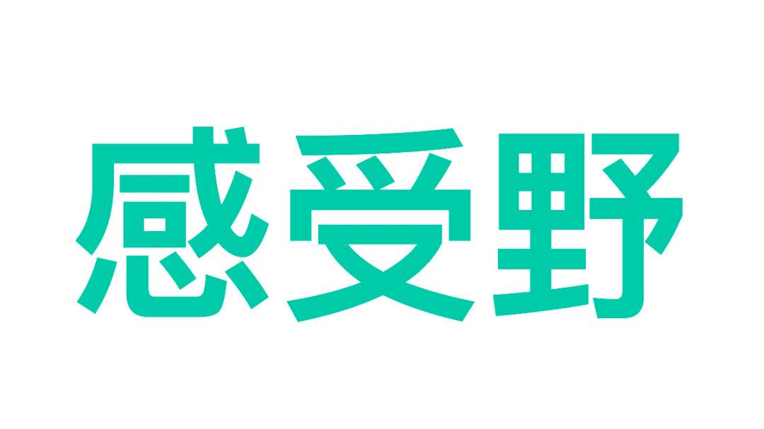 【感受野】感受野攻略截图