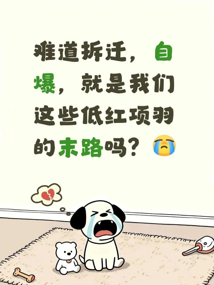 低红项羽的出路截图