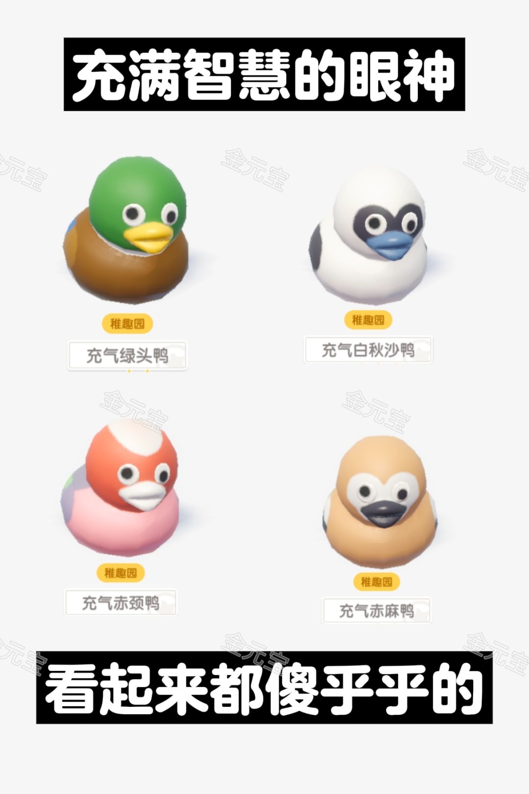充满智慧的眼神 2