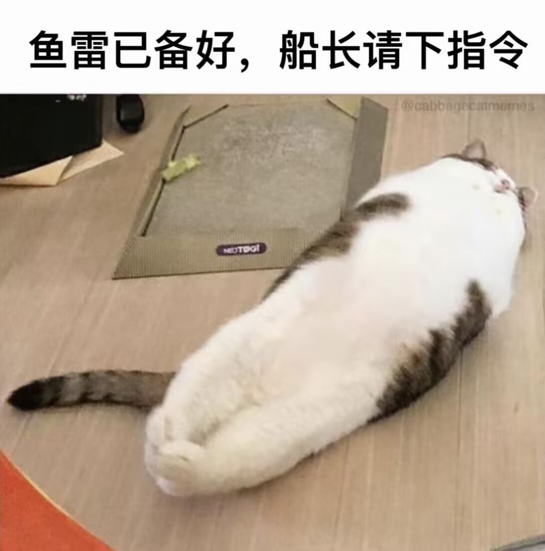 szb2什么时候亖(吐槽抱怨) 1