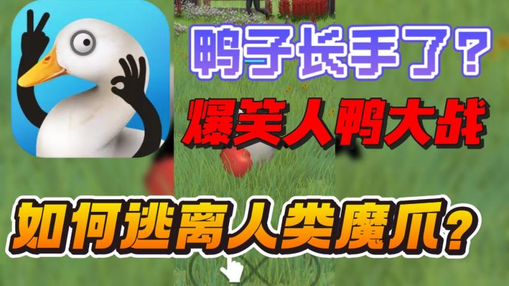 人鸭爆笑对决🔥长手的鸭子如何逃离人类魔爪❓截图