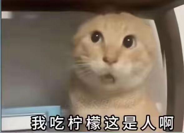 预言家来了 3