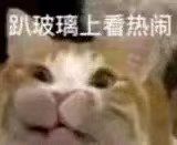 《攻略》五天心得 1