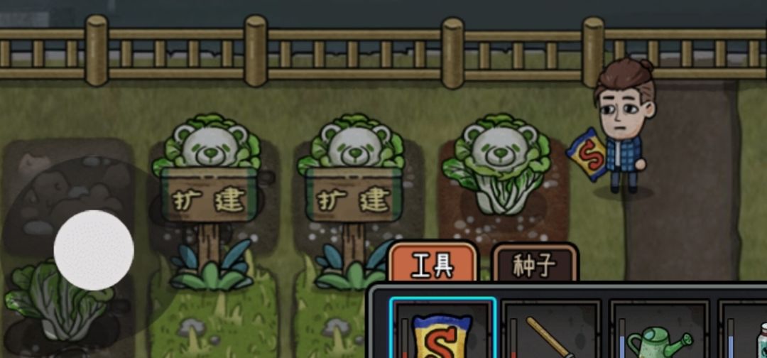 🆘大家快种🥬白菜💓💗!! 1