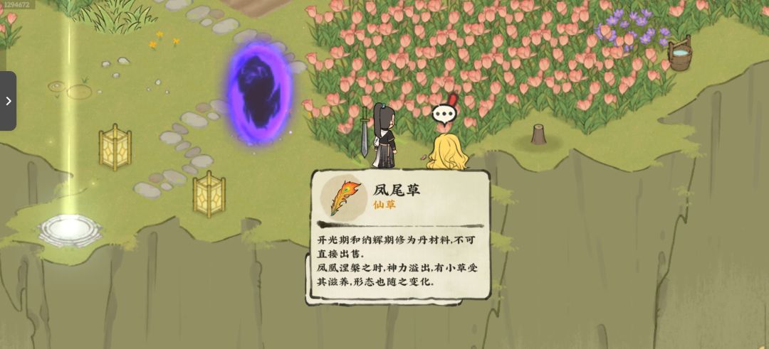 凤尾草 1