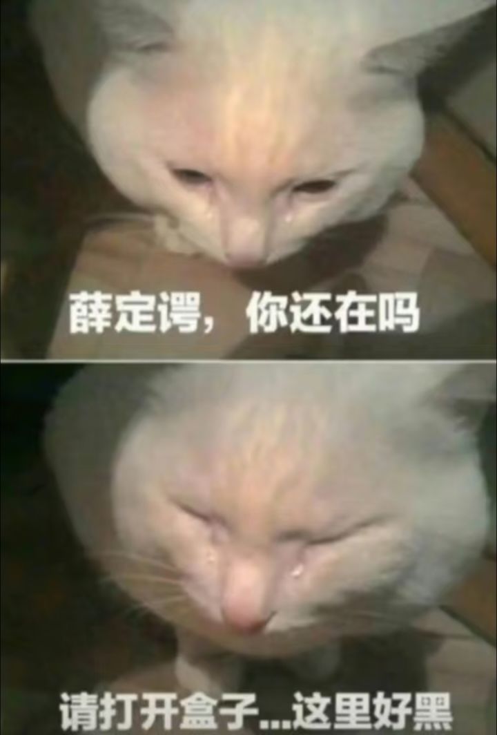 随从选择求助,近期内的可选随从截图