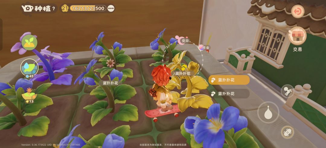 竟然还有金色的植物 2