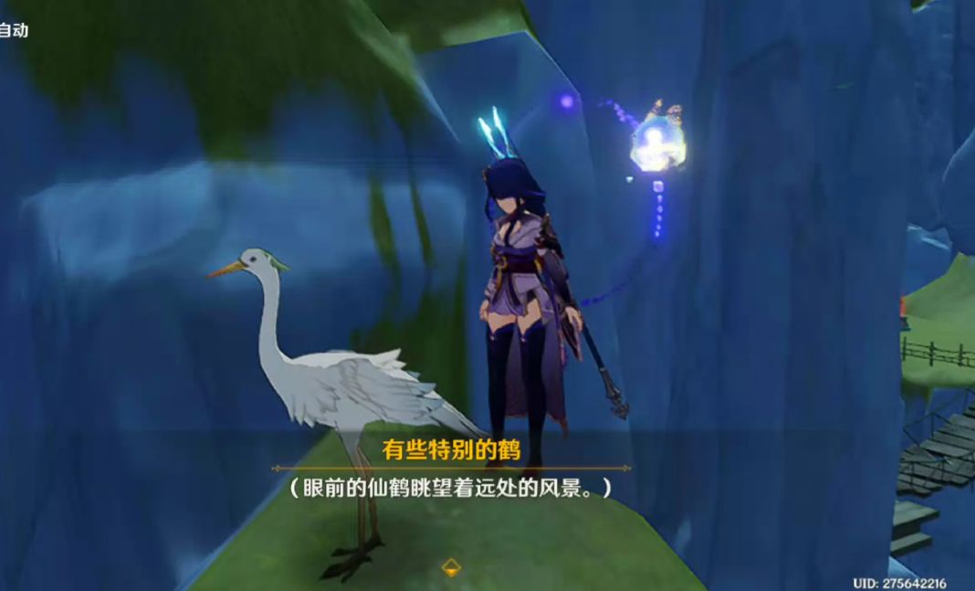 这该不会是闲云传说任务的那个老奶奶吧…… 2
