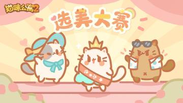 猫宝选美大赛