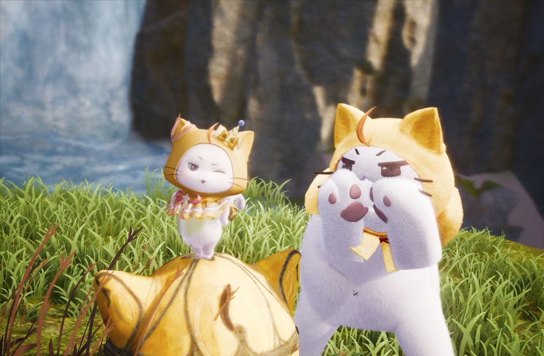 猪咪大喵,生日快乐呀~ 1