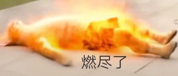 猫咪大战争到底在哪里下载啊截图