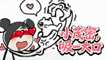 原来我的队友是只猫？！