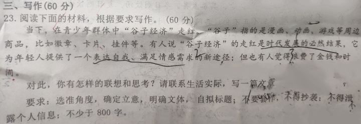 当二次元经济碰上高中作文,阁下该如何应对截图