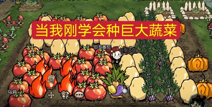 当我第1次学会种巨大蔬菜be like…截图