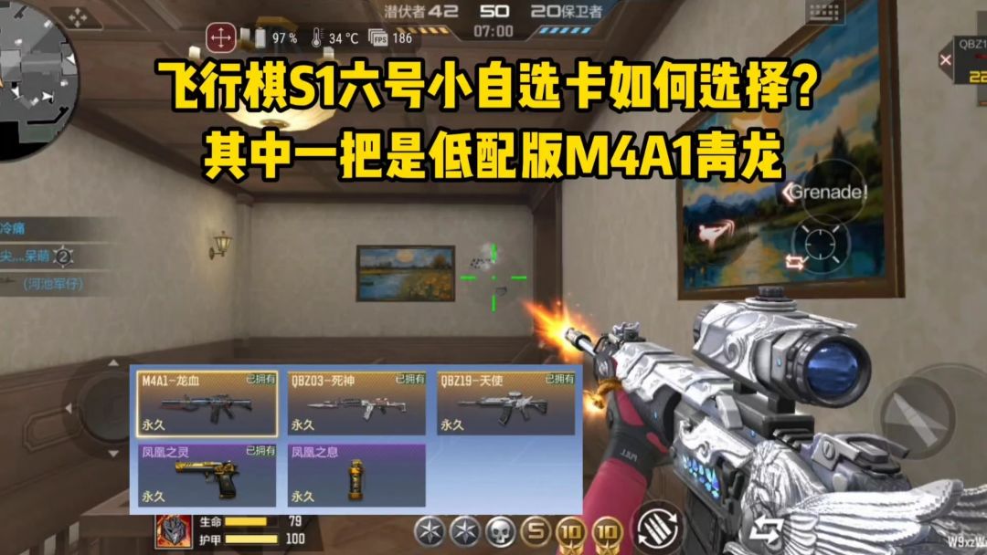 video-4833117