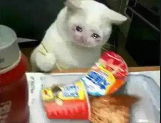 抽波提欧之后都感觉要长脑子了 2