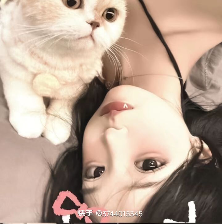 动态图片 6