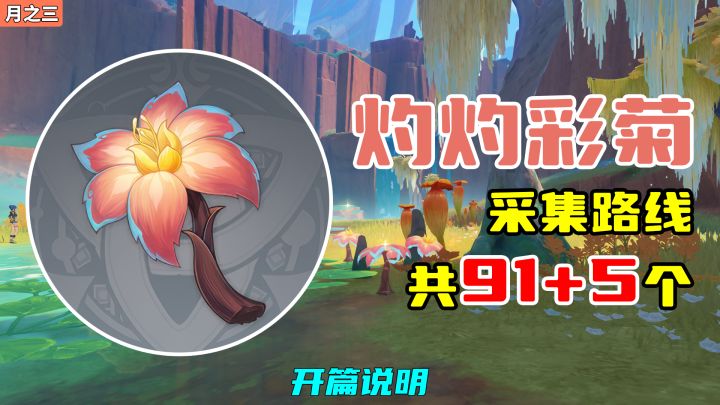 【原神】灼灼彩菊采集路线(91+5个,月之三重制),开篇说明截图