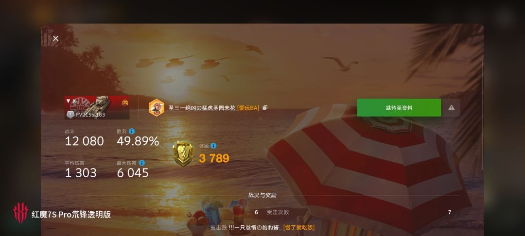 动态图片 12
