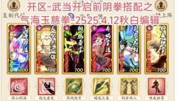 阴拳教程攻略贴-开区至武当开启前阶段搭配，2025.4.12秋白编辑