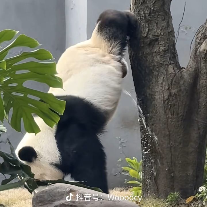 妈的。打个boos还要解密截图