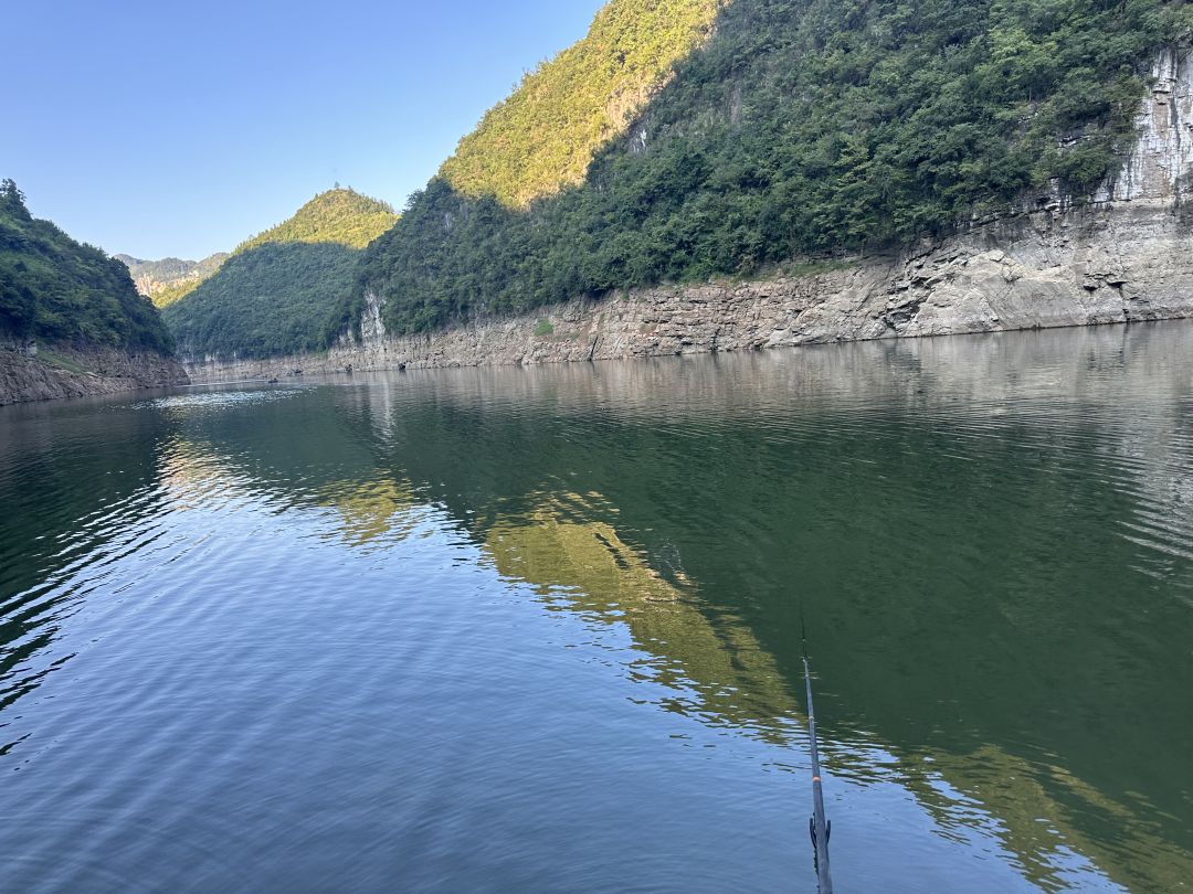 有没有成型的蛇,评测一下 1
