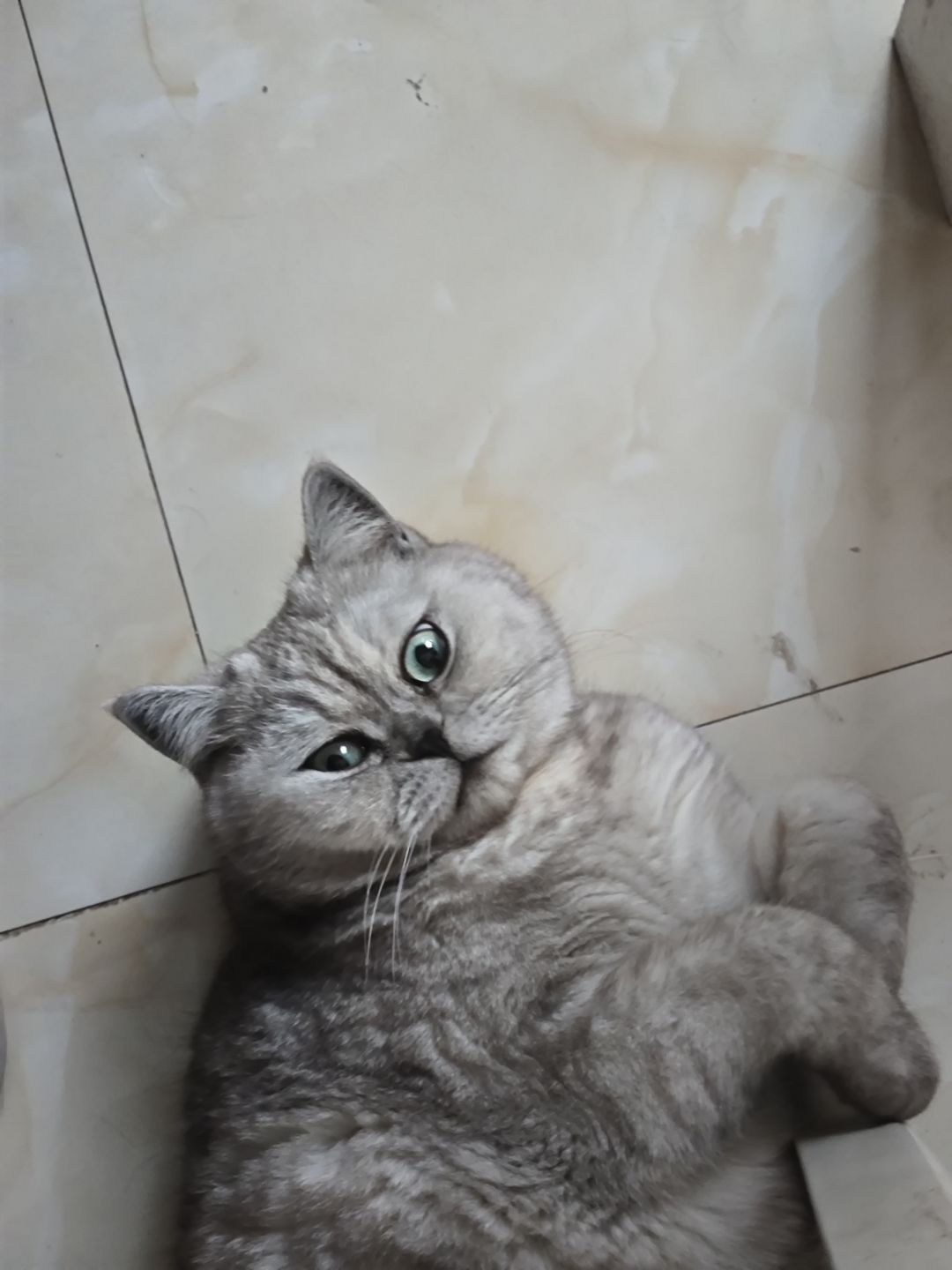 退游了 1